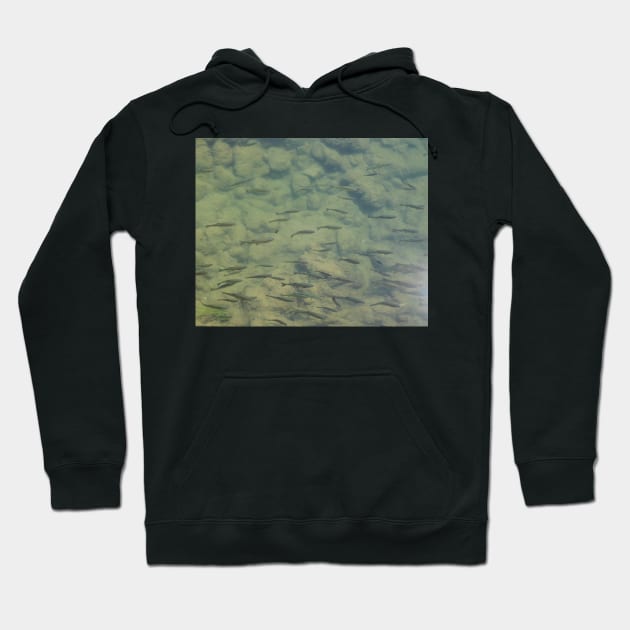 River Fish Hoodie by HFGJewels